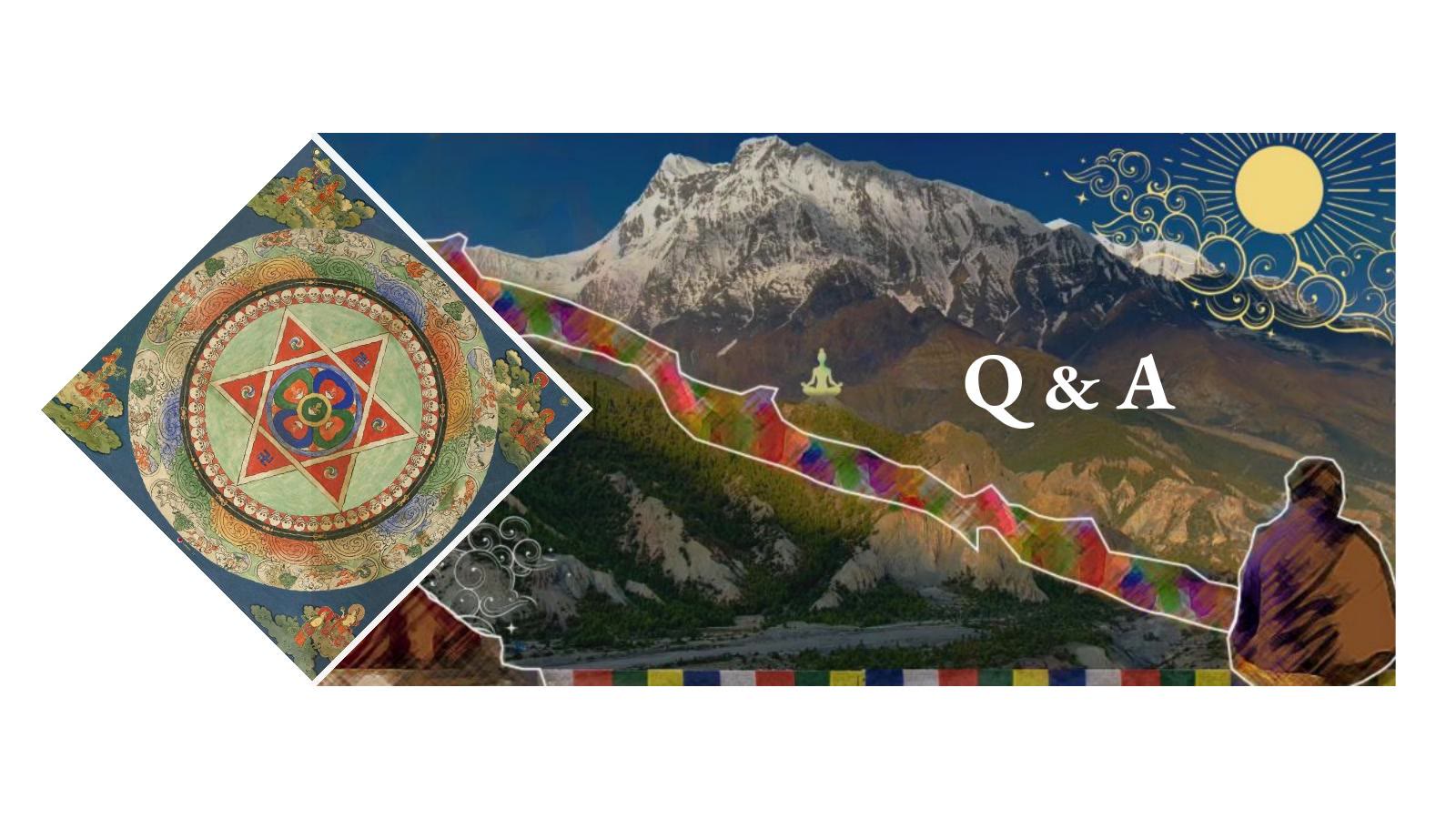 Q & A